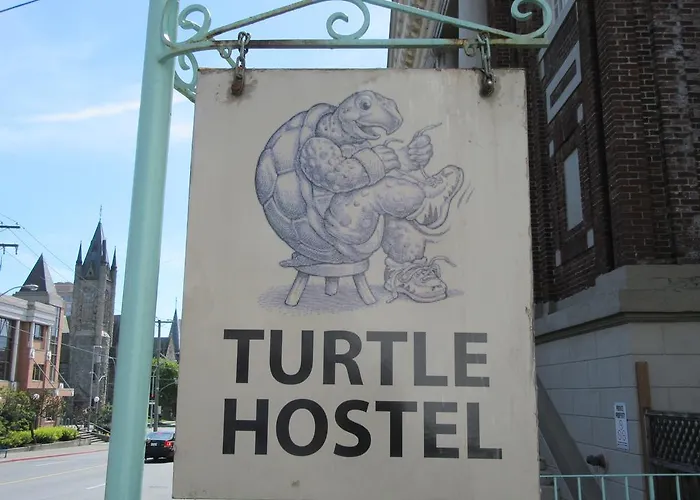 TurtleHostel